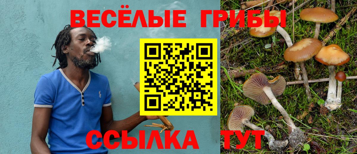 Видное  Галлюциногенные грибы ЛСД  Галлюциногенные грибы прущие грибы  Вход с VPN 